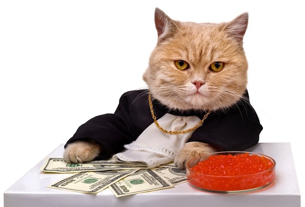 cat caviar